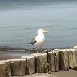Alte Kate * Ostseeheilbad Zingst